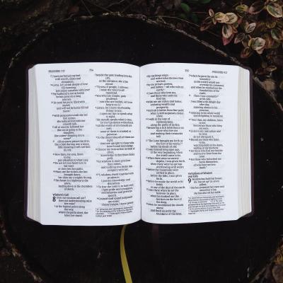 Niv, Larger Print Compact Bible, Leathersoft, Brown, Red Letter, Comfort Print Imitation Leather – Large Print, 12 April 2022