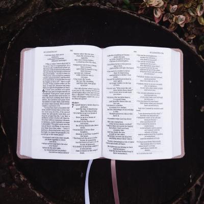 Niv, Larger Print Compact Bible, Leathersoft, Pink, Red Letter, Comfort Print Imitation Leather – Large Print, 12 April 2022