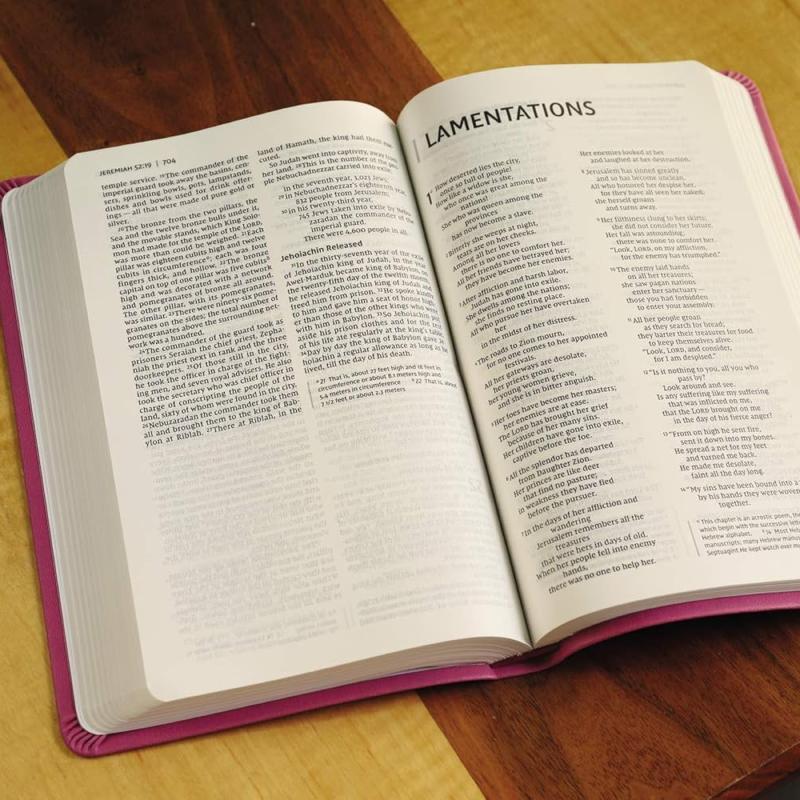 NIV, Value Thinline Bible, Imitation Leather, Pink Imitation Leather – Special Edition, 21 November 2017