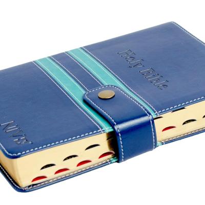 Niv Compact PU DT Thumb Index Gilt Edges Blue/Green, Compact, Readable and Stylish, Word of Christ in Red Leather Bound – 1 January 2023