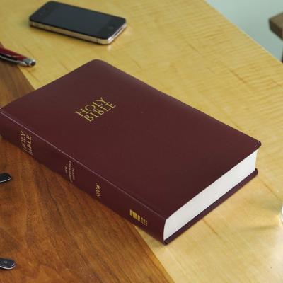 NIV: Gift And Award Bible, Leather-Look, Burgundy, Red Letter