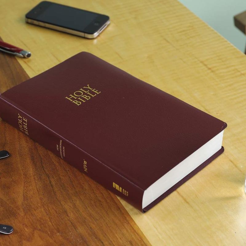 NIV: Gift And Award Bible, Leather-Look, Burgundy, Red Letter