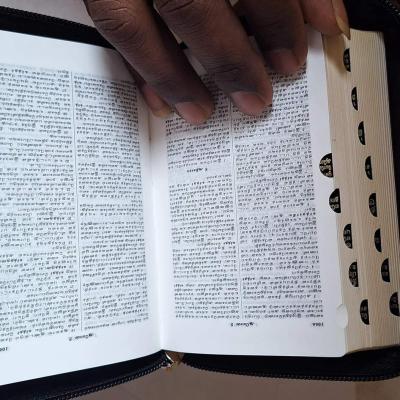 HOLY BIBLE TAMIL /POCKET SIZE With INDEX  (Leather Binding, Tamil, Bible Society)
