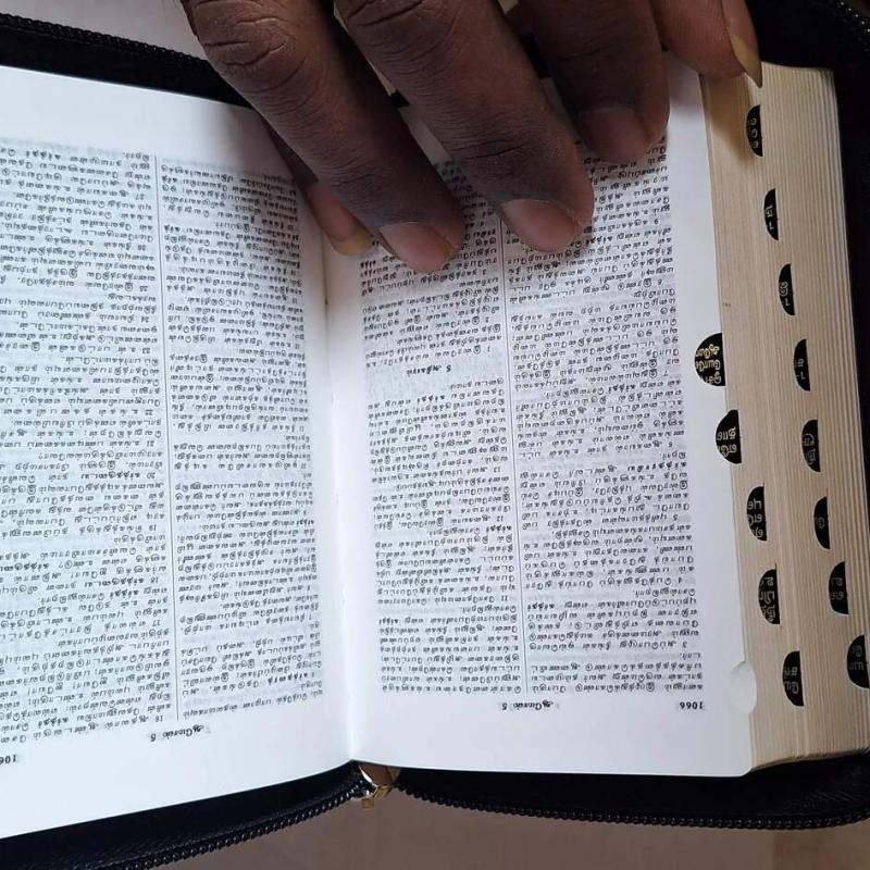 HOLY BIBLE TAMIL /POCKET SIZE With INDEX  (Leather Binding, Tamil, Bible Society)