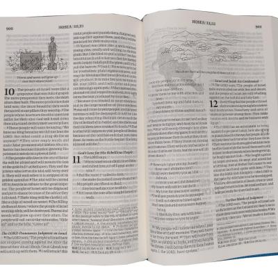 Good News Bible (GNB) Today's English Version Hb (Blue) Illustration/Index Regular Size 2024 Contains Old and Testament BSI Imitation Leather – 30 December 2023