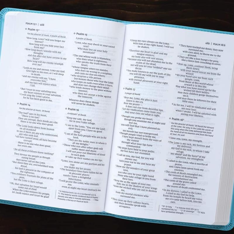 NIV, Value Thinline Bible, Leathersoft, Teal, Comfort Print Imitation Leather – 21 November 2017