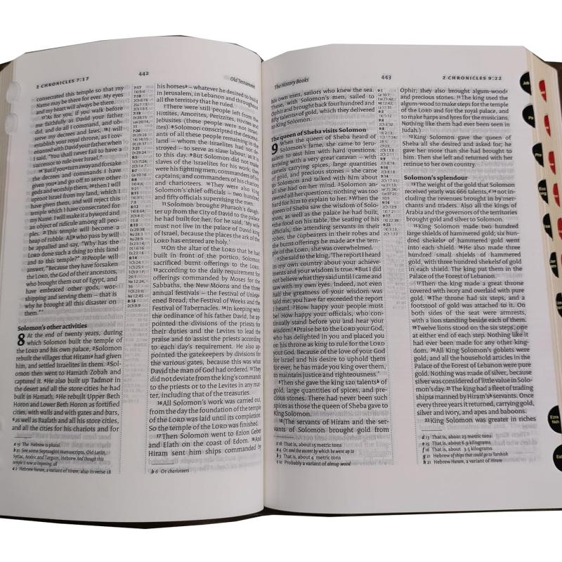 Holy Bible (NIV) New International Version (Red Letter) Cross-Reference with Concordance Brown BSI Leather Bound – 1 January 2022