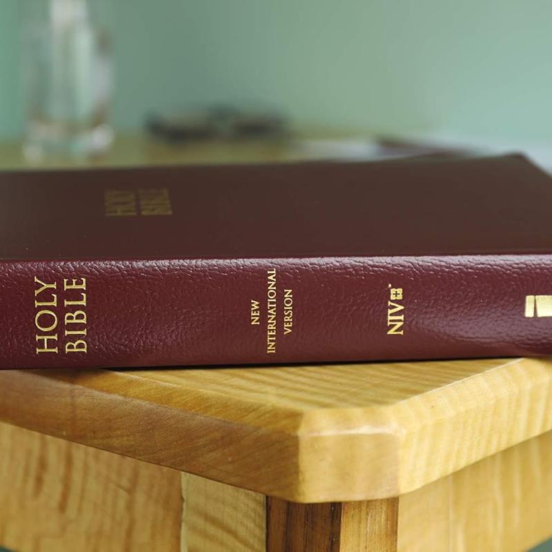 NIV: Gift And Award Bible, Leather-Look, Burgundy, Red Letter